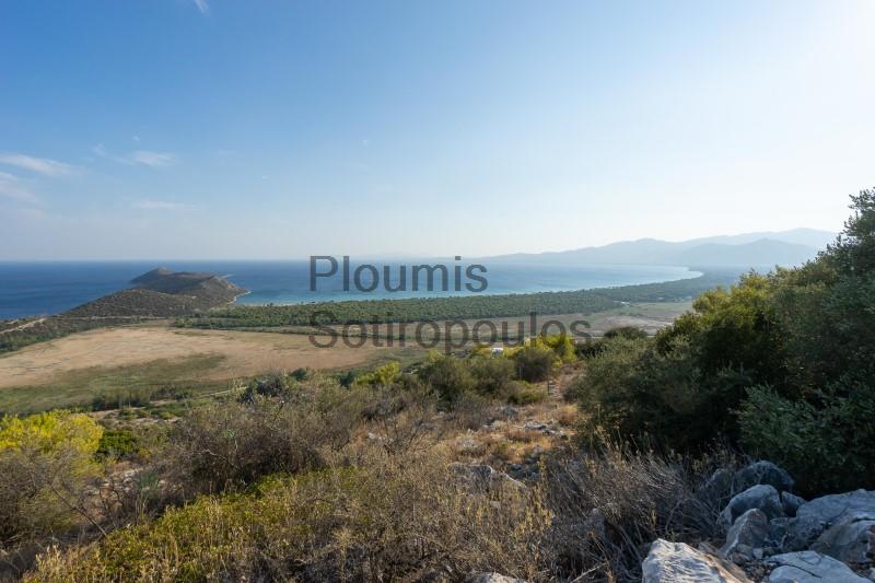 Amphitheatrical plots of land in Schoinias Greece for Sale