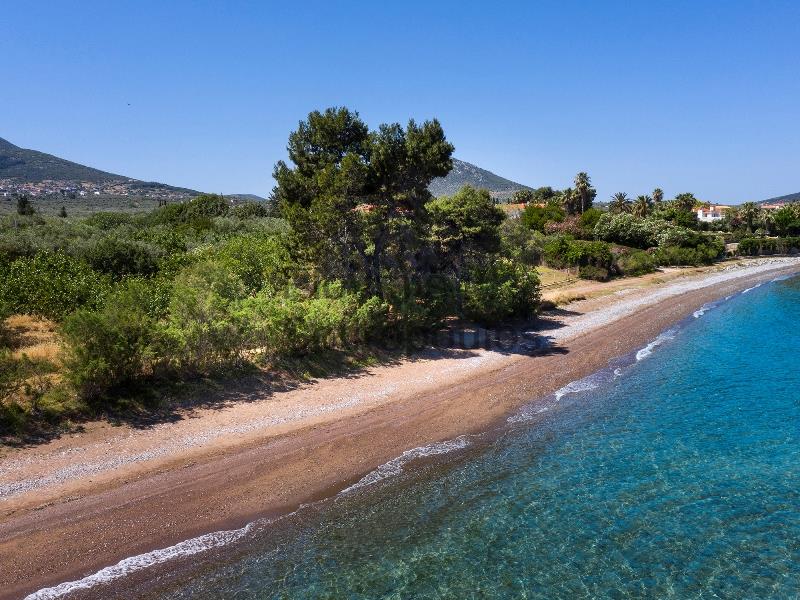 Beachfront Property in Anthidona, Evia Greece for Sale