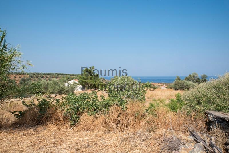Property in the area of Monemvasia, Peloponnese Greece for Sale