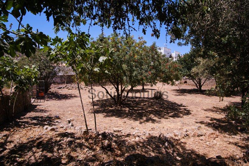 Land Plot in Agios Mamas, Spetses Greece for Sale