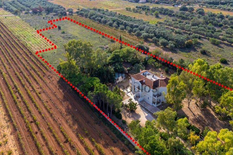 Traditional Villa in Paiania Greece for Sale