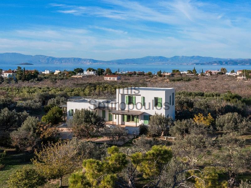 A Contemporary Residence in Aegina