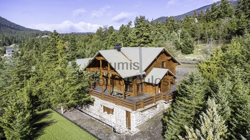 Charming Chalet in Mount Parnassus