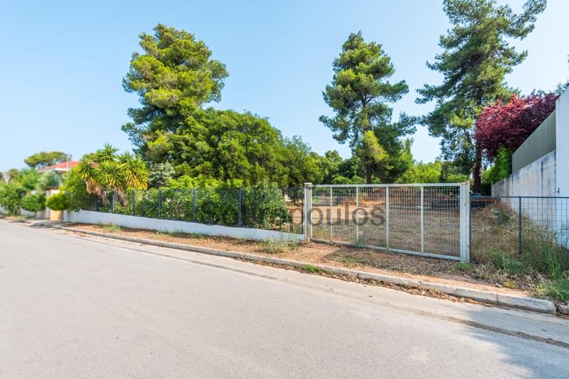 Οικόπεδο στην Καστρίτσα, Νέα Ερυθραία