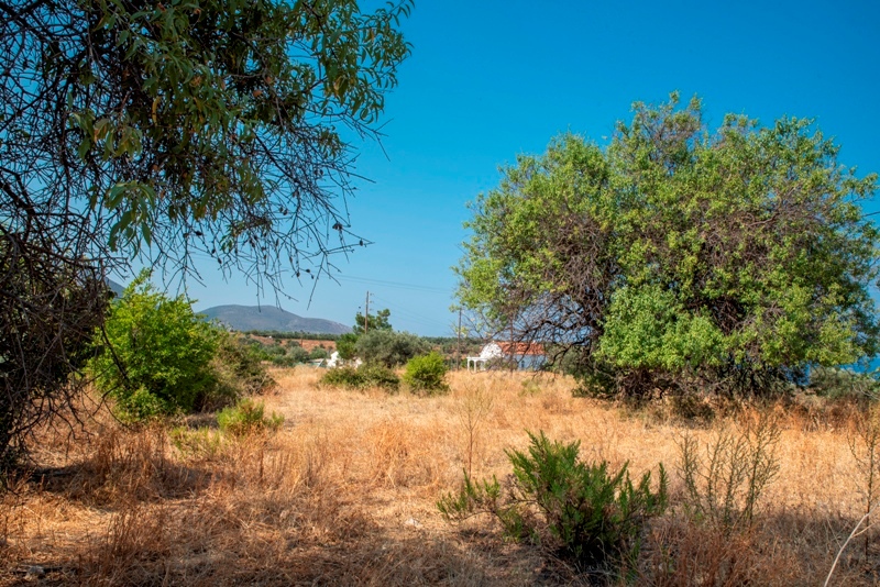 Property in the area of Monemvasia, Peloponnese